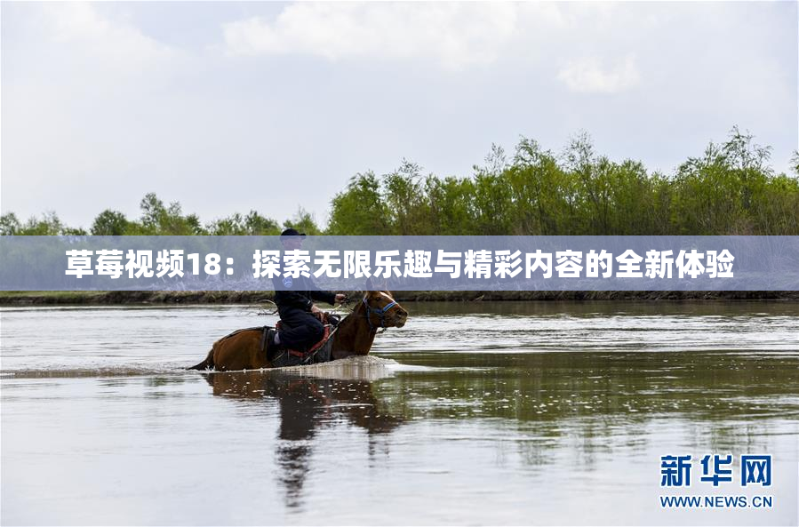 草莓视频18：探索无限乐趣与精彩内容的全新体验