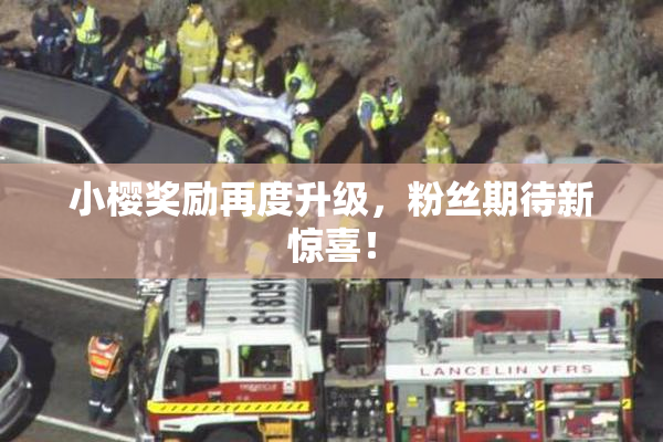 小樱奖励再度升级，粉丝期待新惊喜！