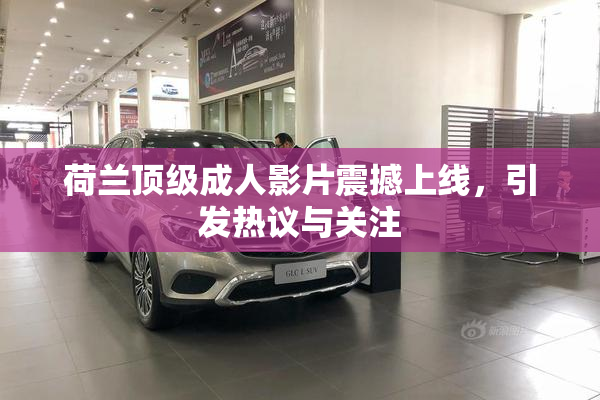 荷兰顶级成人影片震撼上线，引发热议与关注