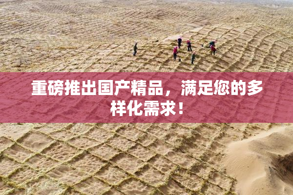 重磅推出国产精品，满足您的多样化需求！