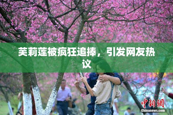 芙莉莲被疯狂追捧，引发网友热议
