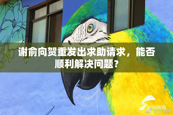 谢俞向贺重发出求助请求，能否顺利解决问题？