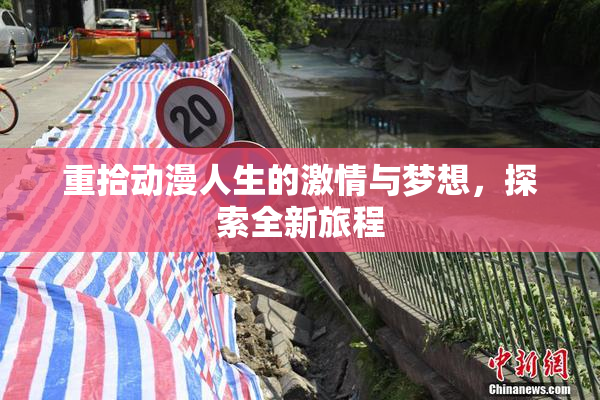 重拾动漫人生的激情与梦想，探索全新旅程