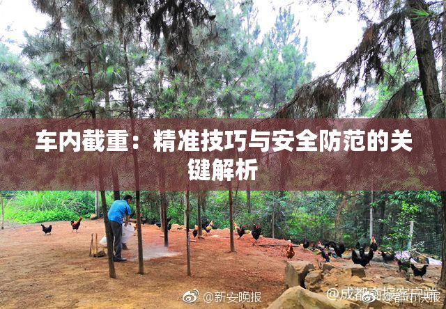 车内截重：精准技巧与安全防范的关键解析