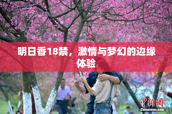 明日香18禁，激情与梦幻的边缘体验