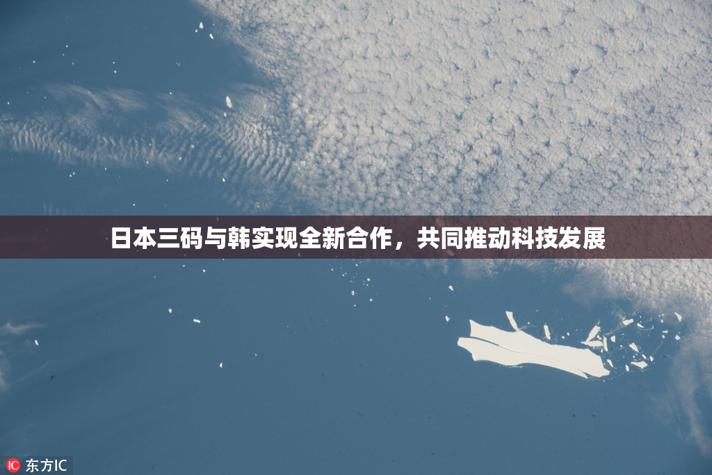 日本三码与韩实现全新合作，共同推动科技发展