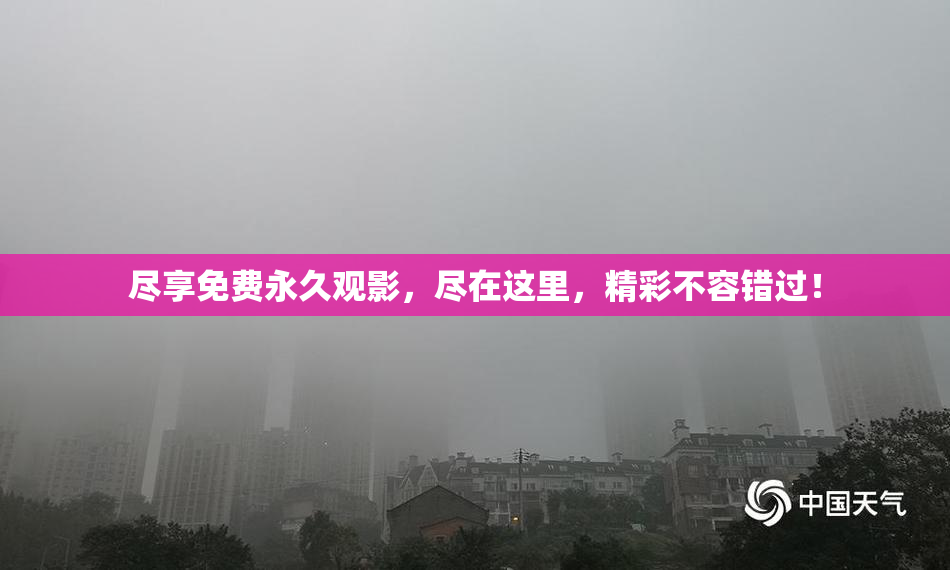 尽享免费永久观影，尽在这里，精彩不容错过！