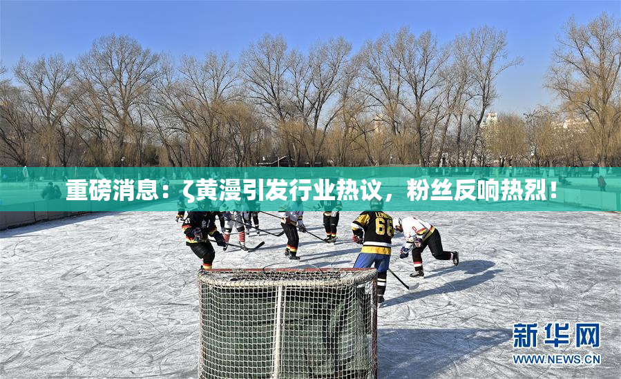 重磅消息：ζ黄漫引发行业热议，粉丝反响热烈！