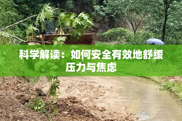科学解读：如何安全有效地舒缓压力与焦虑