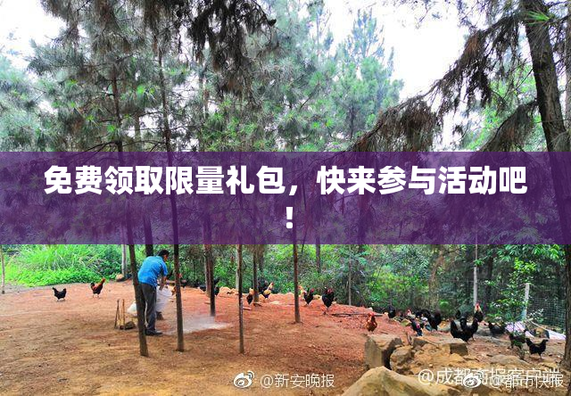 免费领取限量礼包，快来参与活动吧！