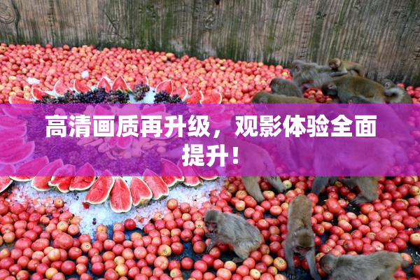 高清画质再升级，观影体验全面提升！