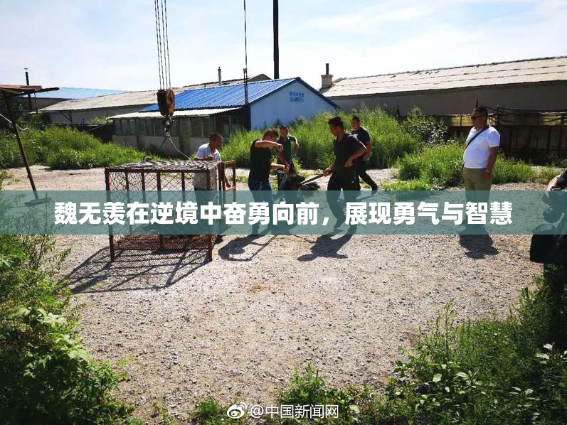 魏无羡在逆境中奋勇向前，展现勇气与智慧