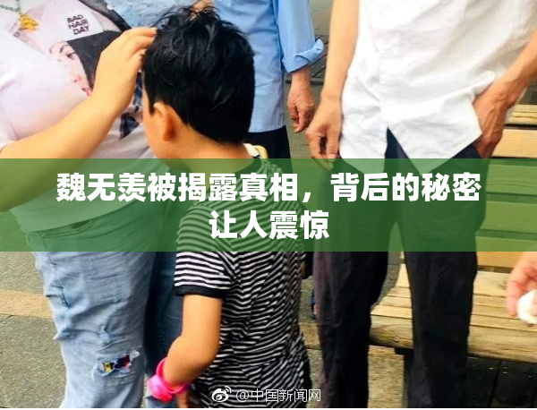 魏无羡被揭露真相，背后的秘密让人震惊