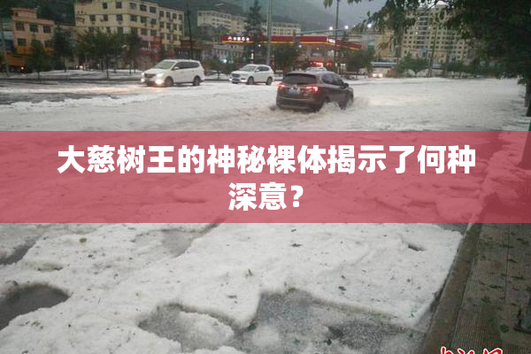 大慈树王的神秘裸体揭示了何种深意？