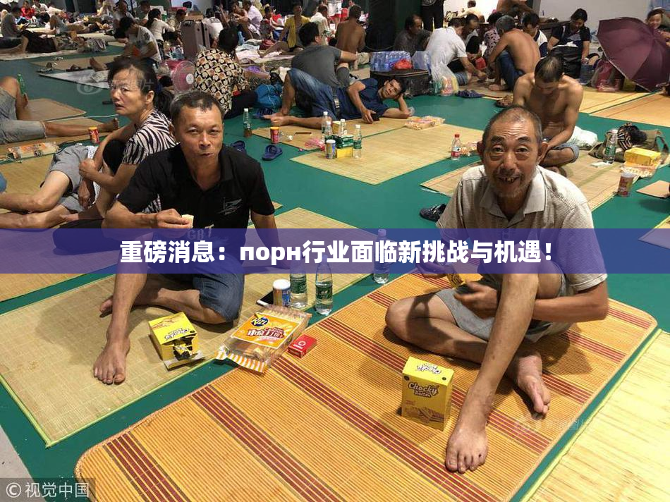 重磅消息：порн行业面临新挑战与机遇！