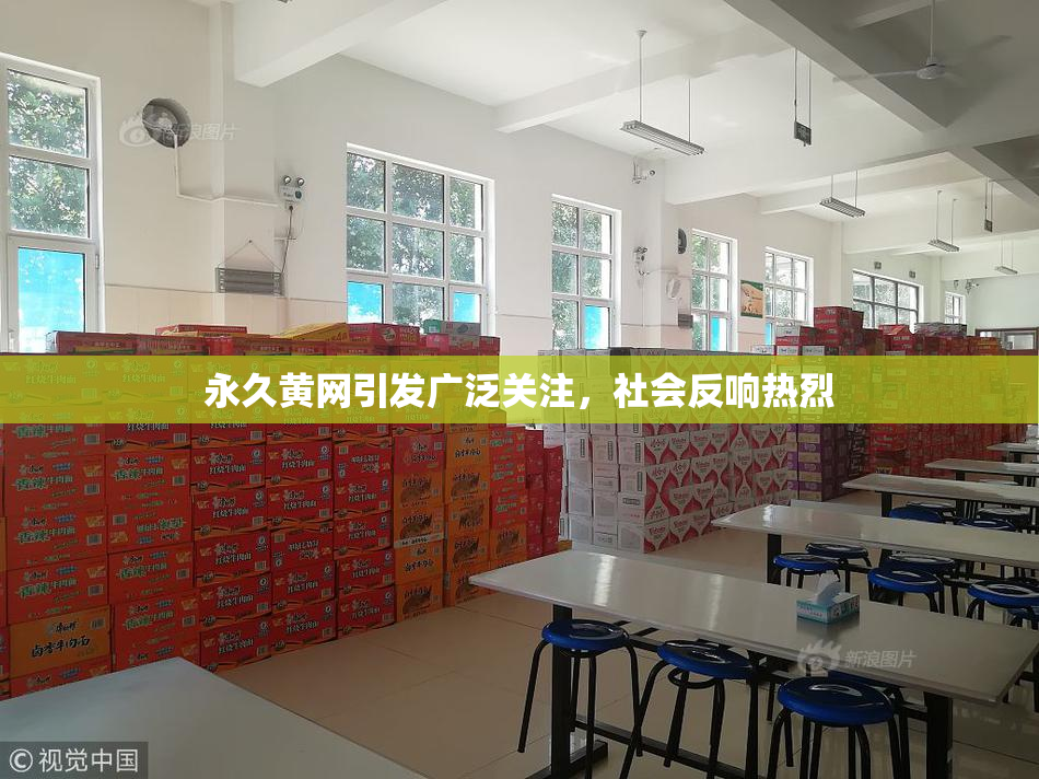 永久黄网引发广泛关注，社会反响热烈