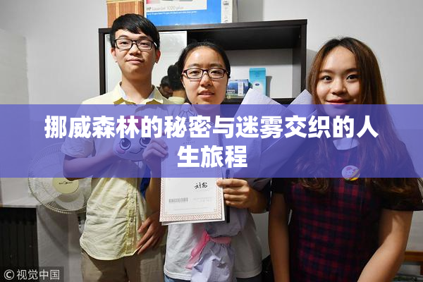 挪威森林的秘密与迷雾交织的人生旅程