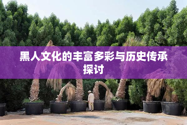 黑人文化的丰富多彩与历史传承探讨