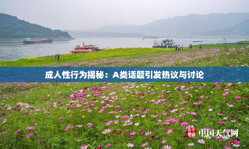 成人性行为揭秘：A类话题引发热议与讨论