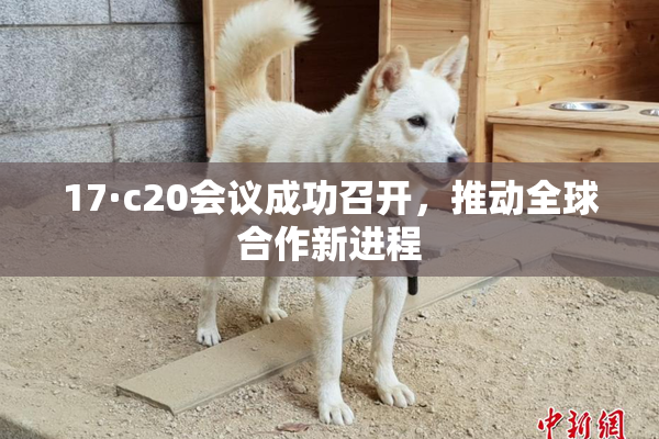 17·c20会议成功召开，推动全球合作新进程