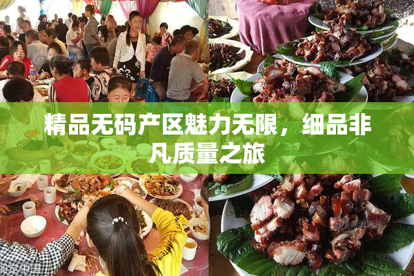 精品无码产区魅力无限，细品非凡质量之旅