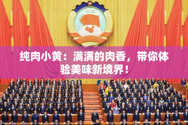 纯肉小黄：满满的肉香，带你体验美味新境界！