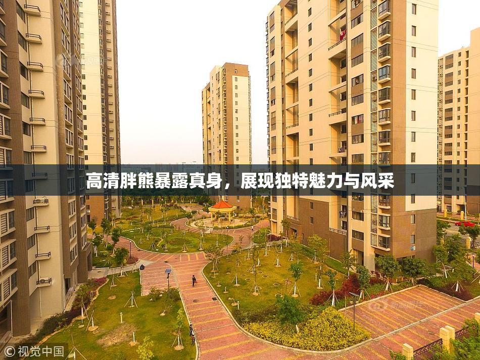 高清胖熊暴露真身，展现独特魅力与风采