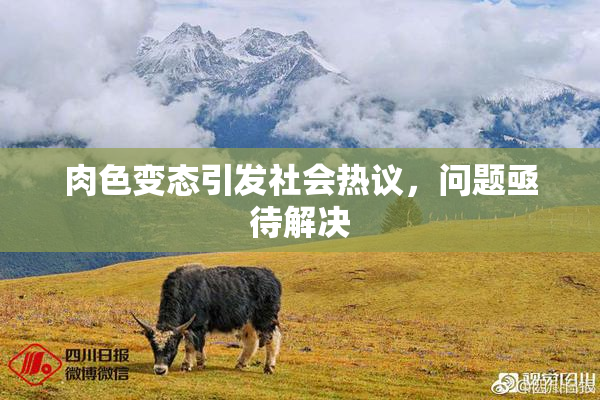 肉色变态引发社会热议，问题亟待解决