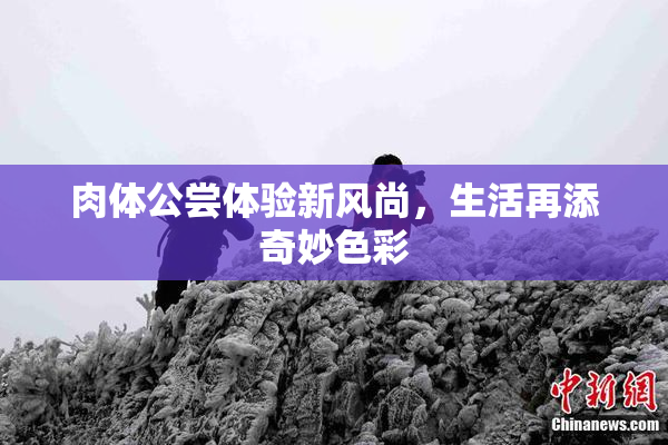 肉体公尝体验新风尚，生活再添奇妙色彩