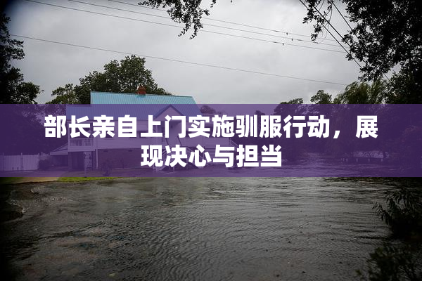 部长亲自上门实施驯服行动，展现决心与担当