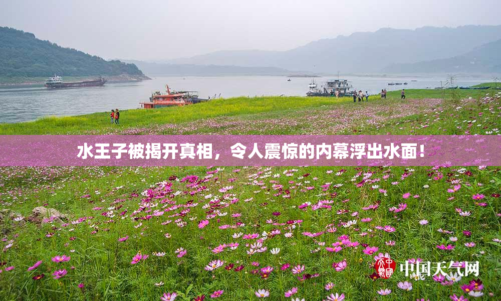 水王子被揭开真相，令人震惊的内幕浮出水面！