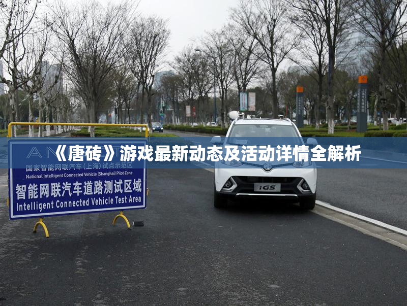 《唐砖》游戏最新动态及活动详情全解析