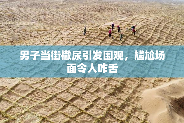男子当街撒尿引发围观，尴尬场面令人咋舌