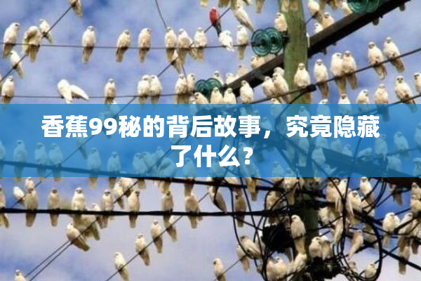 香蕉99秘的背后故事，究竟隐藏了什么？
