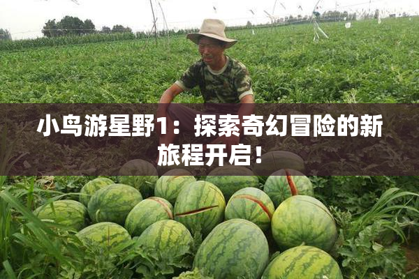 小鸟游星野1：探索奇幻冒险的新旅程开启！