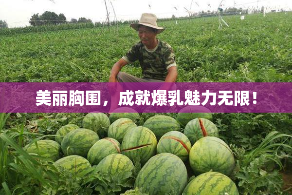 美丽胸围，成就爆乳魅力无限！