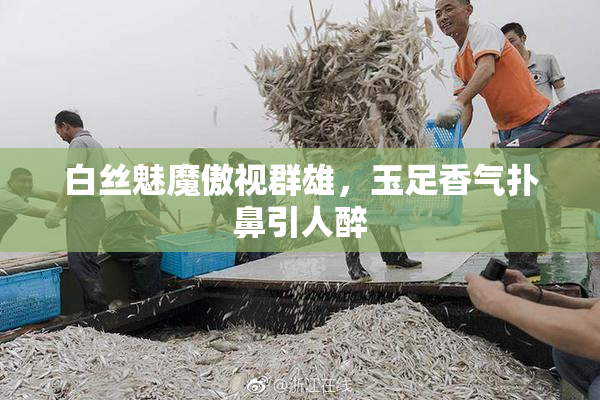 白丝魅魔傲视群雄，玉足香气扑鼻引人醉