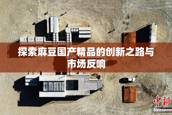 探索麻豆国产精品的创新之路与市场反响