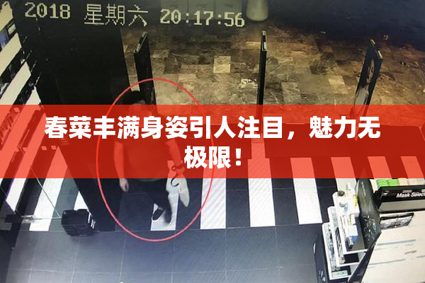 春菜丰满身姿引人注目，魅力无极限！