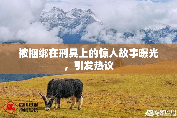 被捆绑在刑具上的惊人故事曝光，引发热议