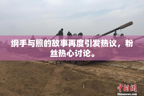 纲手与照的故事再度引发热议，粉丝热心讨论。