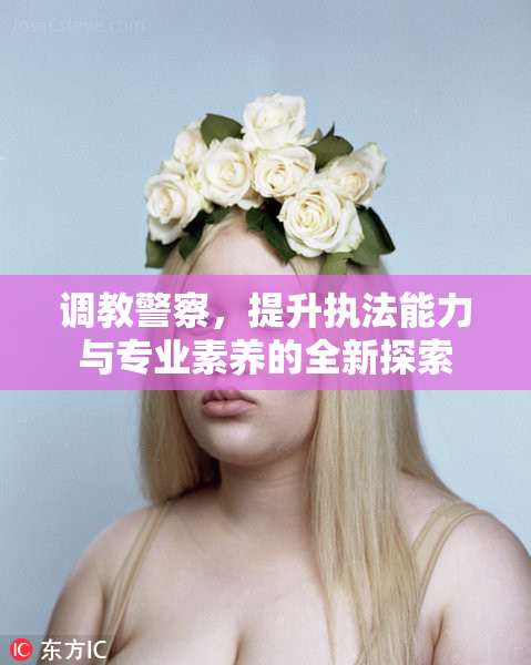 调教警察，提升执法能力与专业素养的全新探索