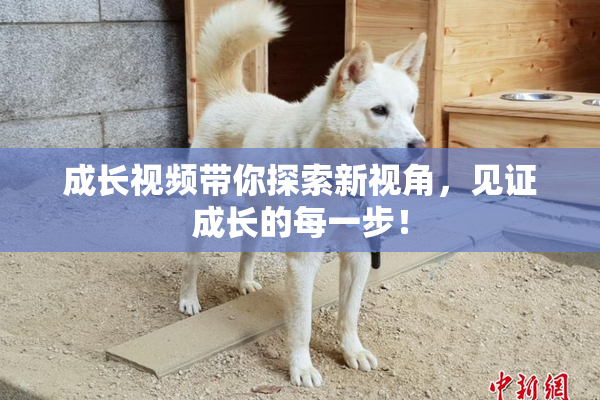 成长视频带你探索新视角，见证成长的每一步！