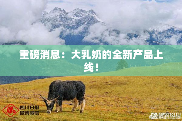 重磅消息：大乳奶的全新产品上线！