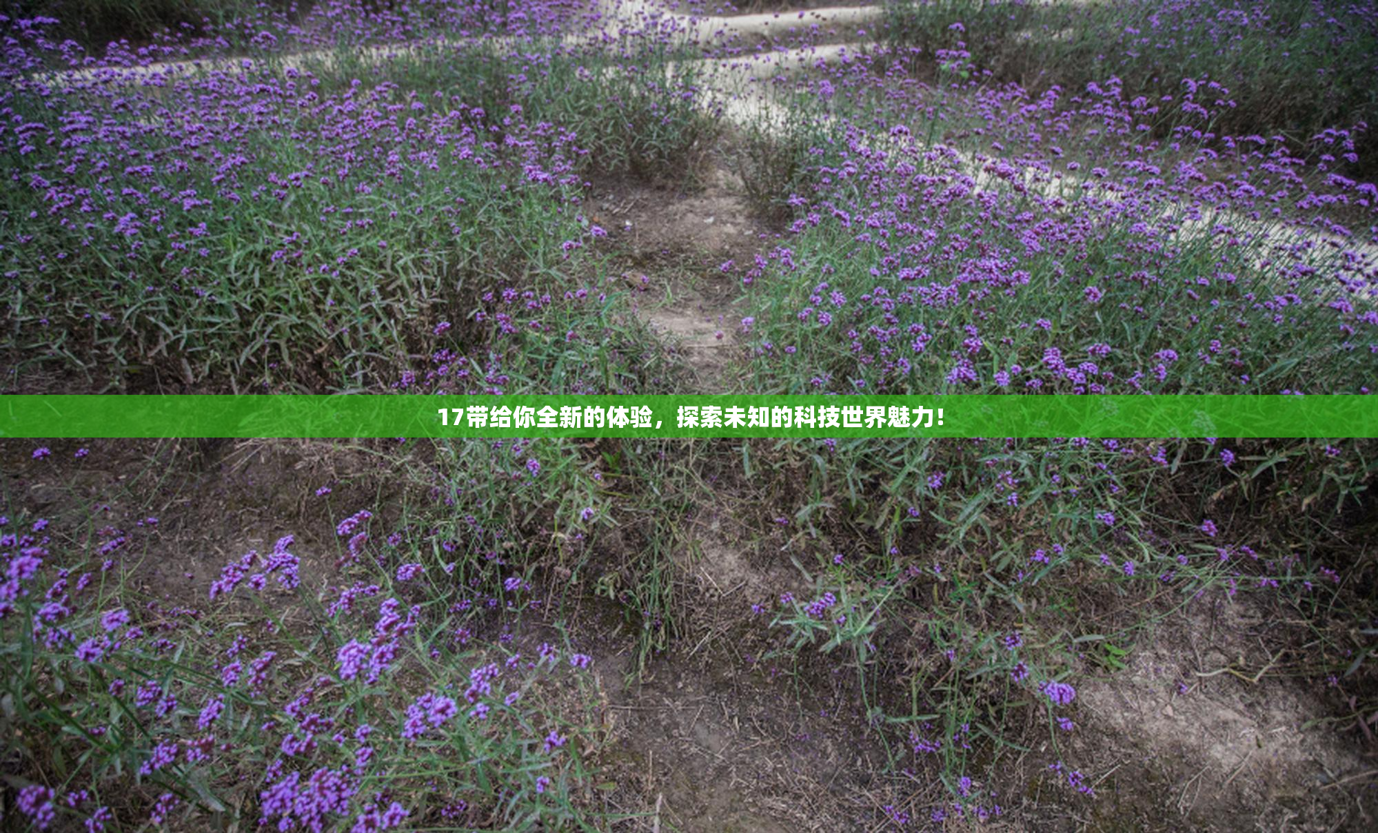 17带给你全新的体验，探索未知的科技世界魅力！