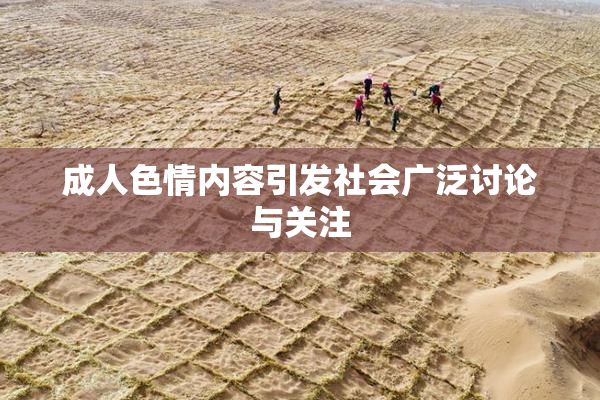 成人色情内容引发社会广泛讨论与关注