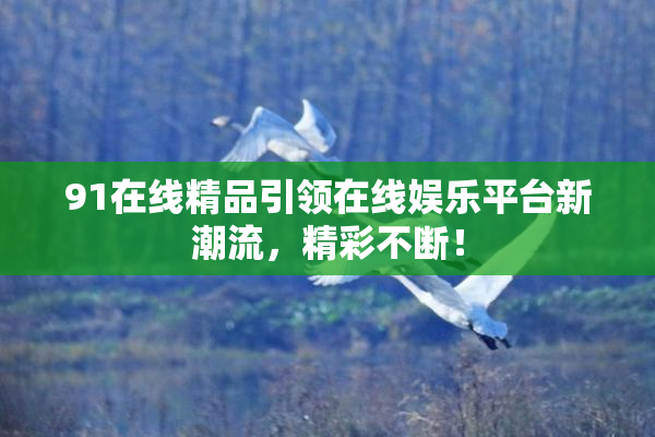 91在线精品引领在线娱乐平台新潮流，精彩不断！