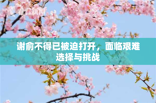 谢俞不得已被迫打开，面临艰难选择与挑战