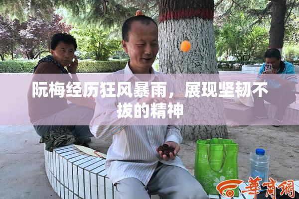 阮梅经历狂风暴雨，展现坚韧不拔的精神