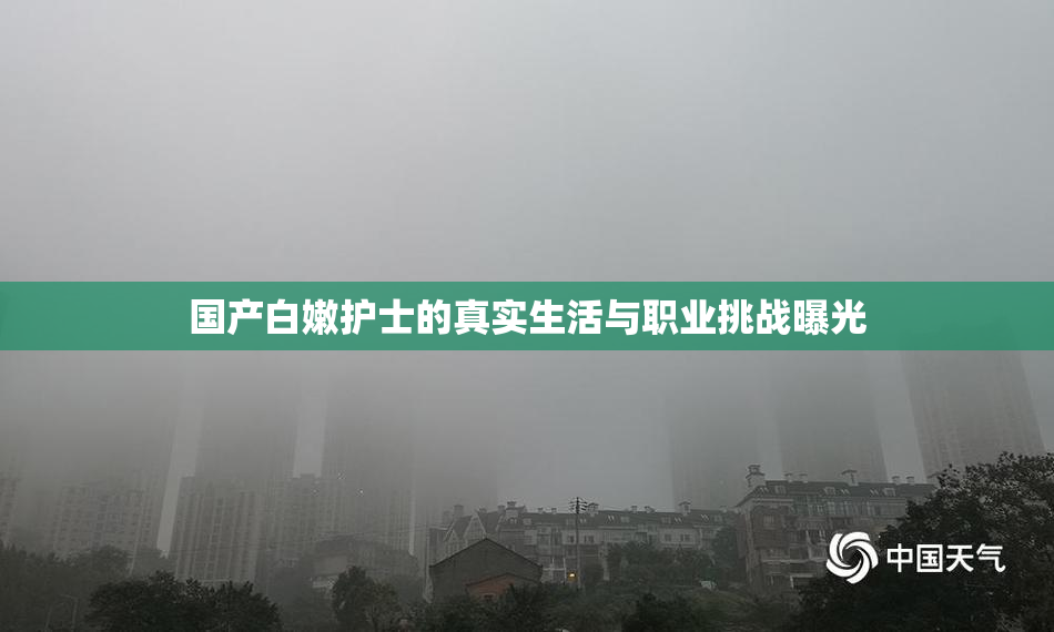 国产白嫩护士的真实生活与职业挑战曝光